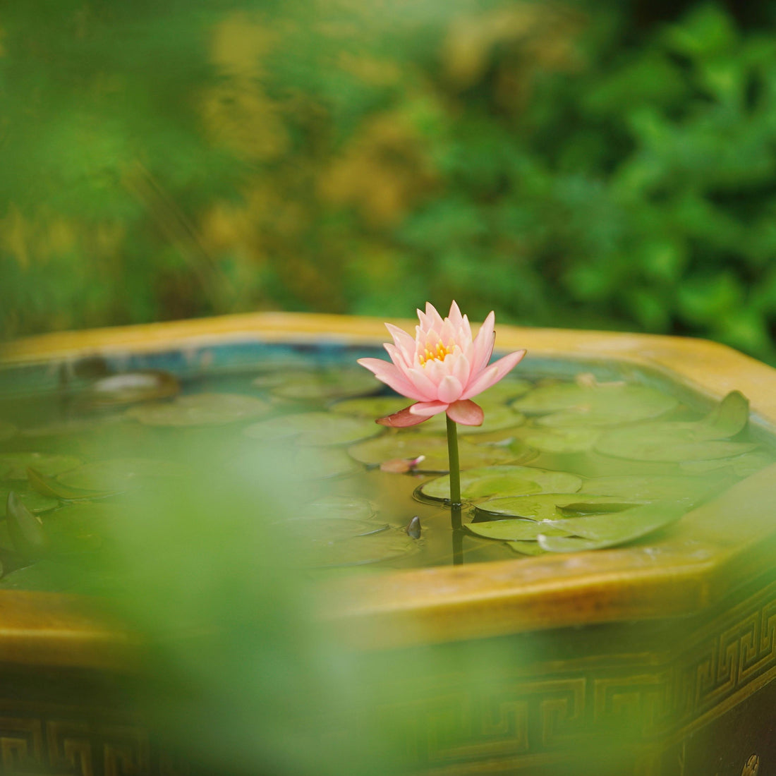 Outdoor Decor Essentials: Combining Fountains and Lighting