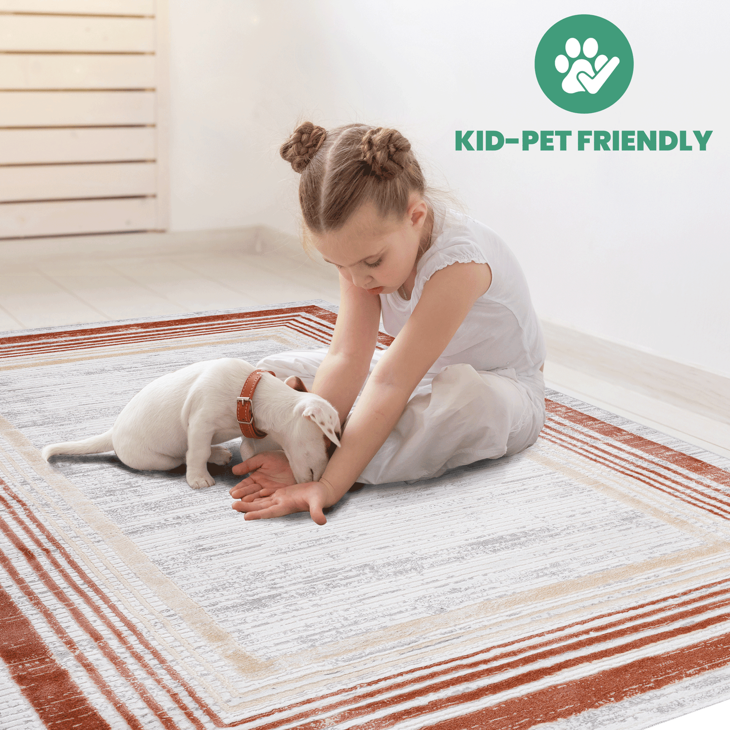 Modern Bordered Area Rug